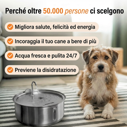 La Fonte Canina™ - Acqua Pura e Filtrata per Cani Più Sani